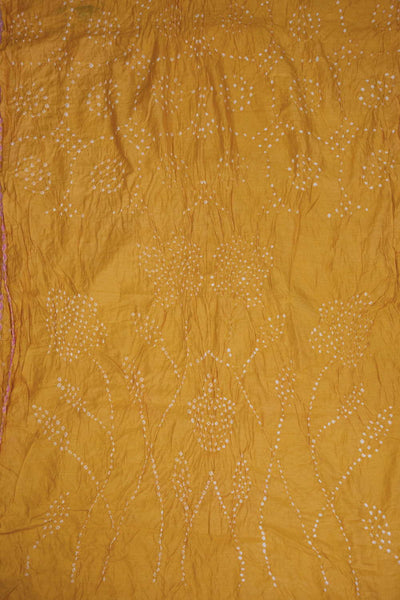 Silk Cotton Saree-Matkatus 