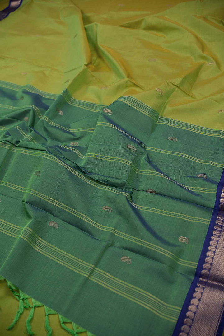 Cotton Sarees - Matkatus 