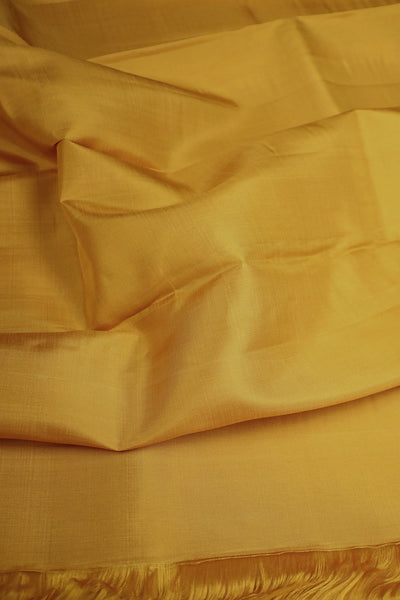 Traditional Saree-Matkatus 